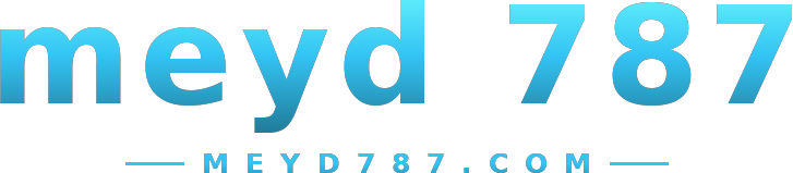 meyd 787 logo